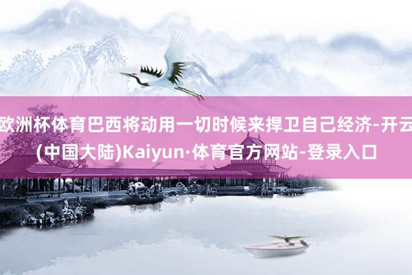 欧洲杯体育巴西将动用一切时候来捍卫自己经济-开云(中国大陆)Kaiyun·体育官方网站-登录入口