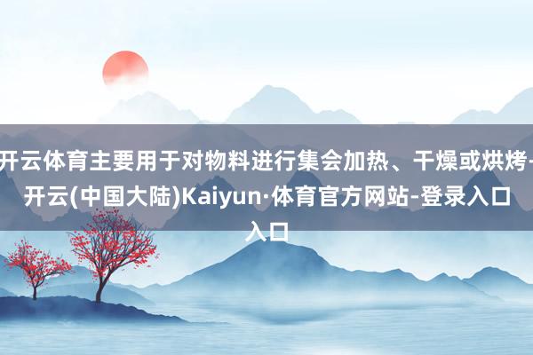 开云体育主要用于对物料进行集会加热、干燥或烘烤-开云(中国大陆)Kaiyun·体育官方网站-登录入口