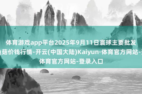 体育游戏app平台2025年9月11日寰球主要批发商场鲍鱼菇价钱行情-开云(中国大陆)Kaiyun·体育官方网站-登录入口