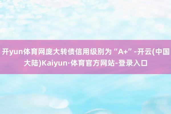 开yun体育网庞大转债信用级别为“A+”-开云(中国大陆)Kaiyun·体育官方网站-登录入口