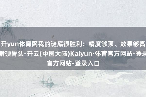开yun体育网我的谜底很胜利：精度够顶、效果够高、能啃硬骨头-开云(中国大陆)Kaiyun·体育官方网站-登录入口
